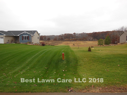 Your lawn can be darker green.