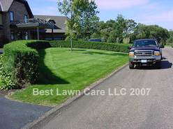 Great curb appeal with great fertilizer!